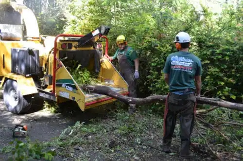 tree services Palos Park